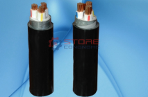 CVV/DATA-0,6/1KV và CVV/DSTA-0,6/1KV CÁP ĐIỆN LỰC, RUỘT ĐỒNG, CÁCH ĐIỆN PVC, GIÁP BĂNG KIM LOẠI, VỎ PVC