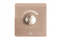 Chiết áp đèn 300W - A66-K09