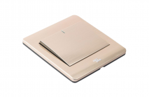 Công  tắc đơn, 2 chiều - A66-K01B