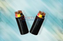 CVV-0,6/1KV CÁP ĐIỆN LỰC, RUỘT ĐỒNG, CÁCH ĐIỆN PVC, VỎ PVC